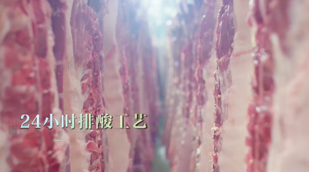 圖片26 圖片26